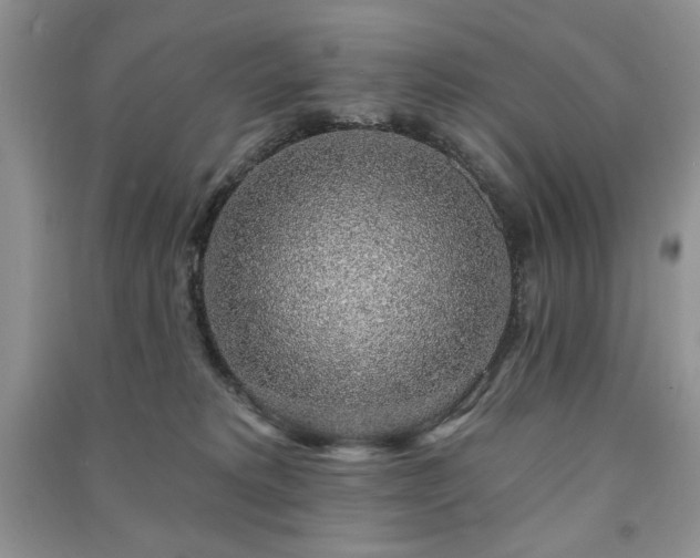 X0000091210229200708091354