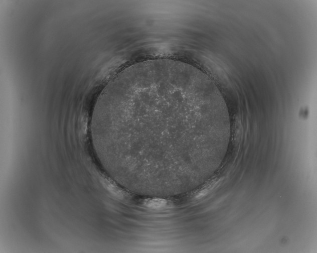 X0000091210230200708091353