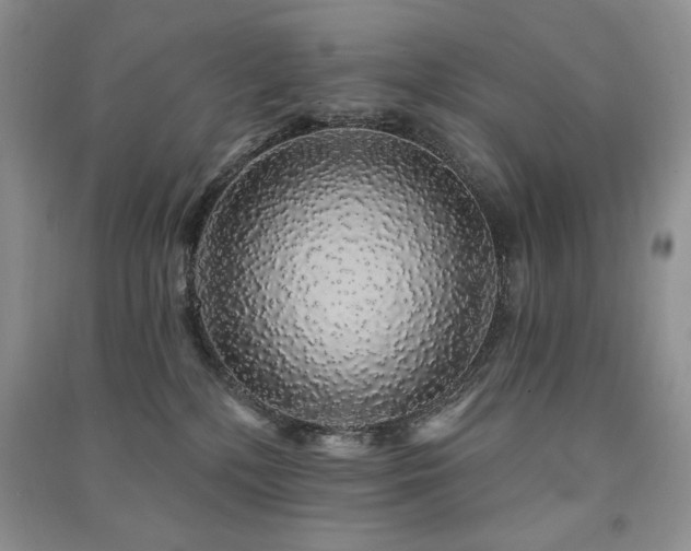 X0000091210232200708091353