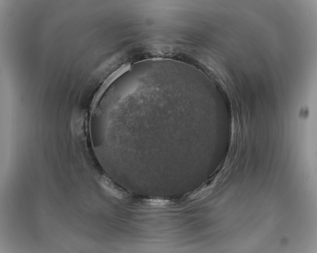 X0000091210233200708091353