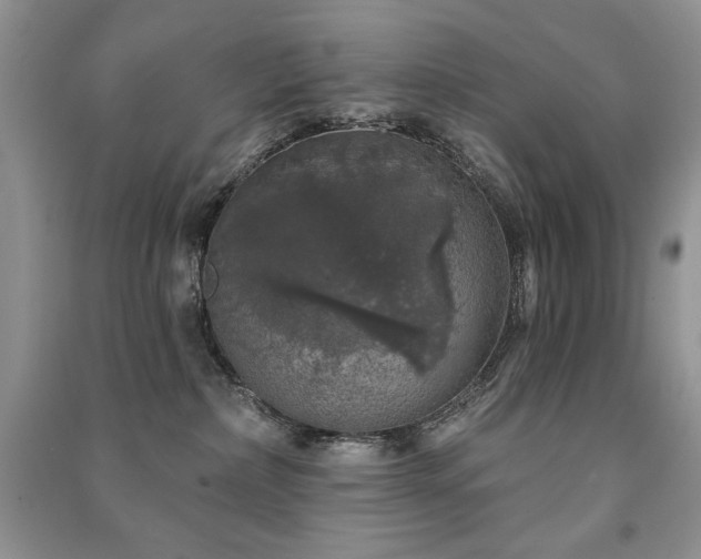 X0000091210236200708091353