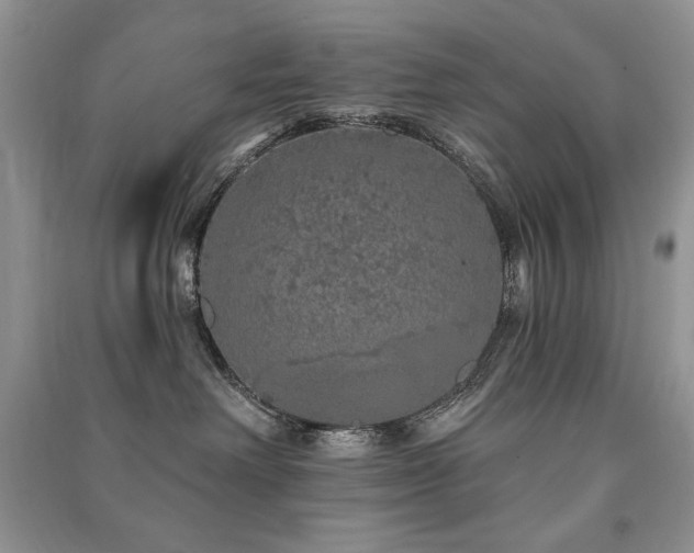X0000091210238200708091353