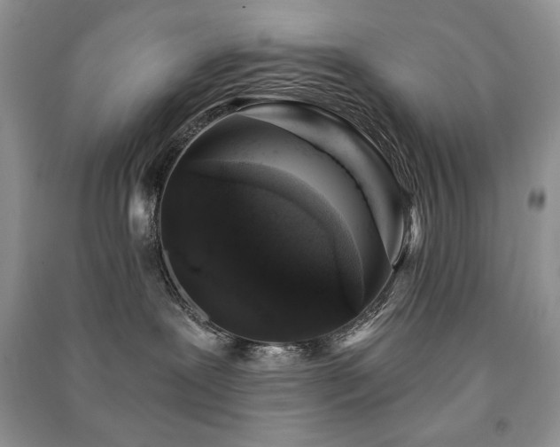 X0000091210239200708091353