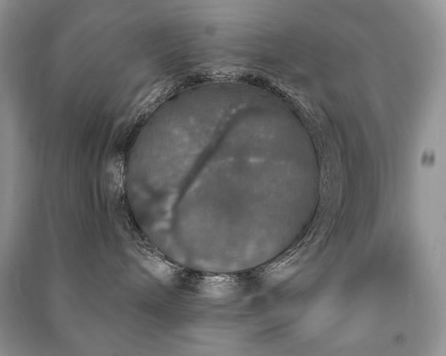 X0000091210240200708091353