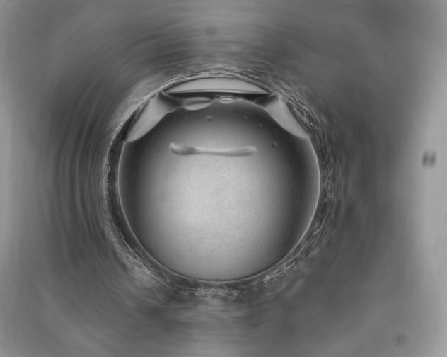 X0000091210242200708091353