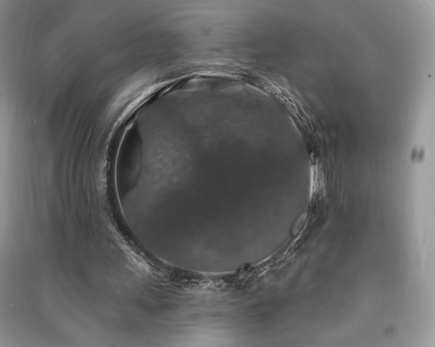 X0000091210243200708091353