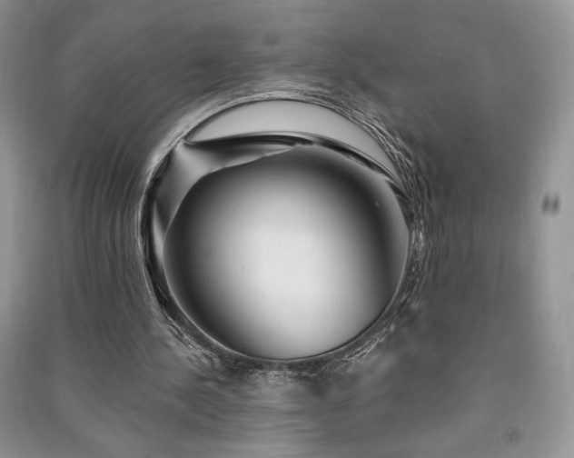 X0000091210244200708091353