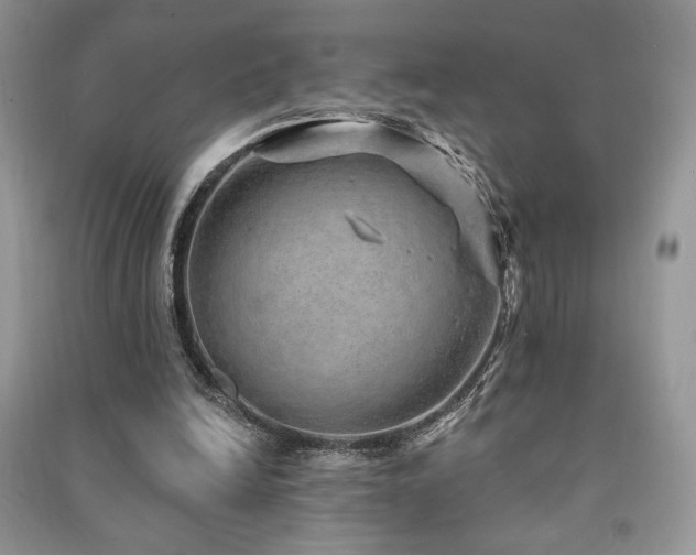 X0000091210246200708091353