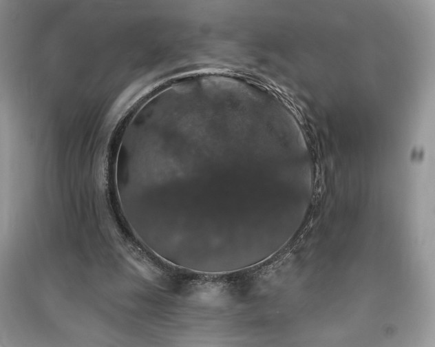 X0000091210247200708091353