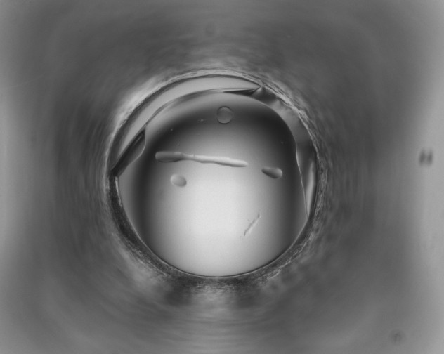 X0000091210248200708091353