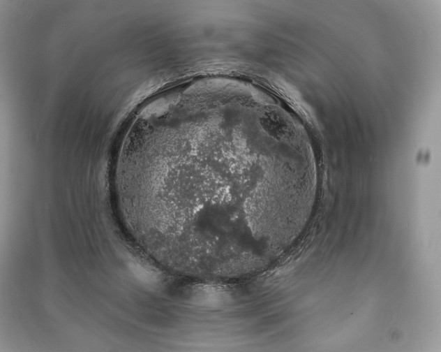 X0000091210250200708091353