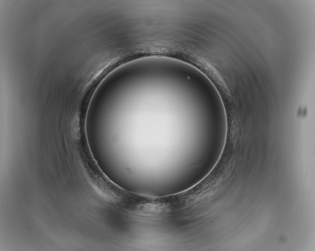X0000091210251200708091353