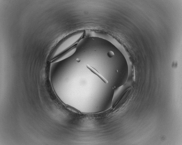 X0000091210252200708091353