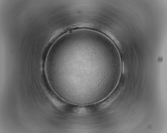 X0000091210253200708091353