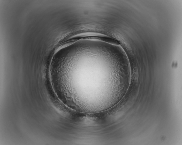 X0000091210255200708091353