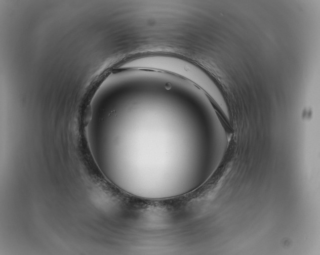 X0000091210256200708091353