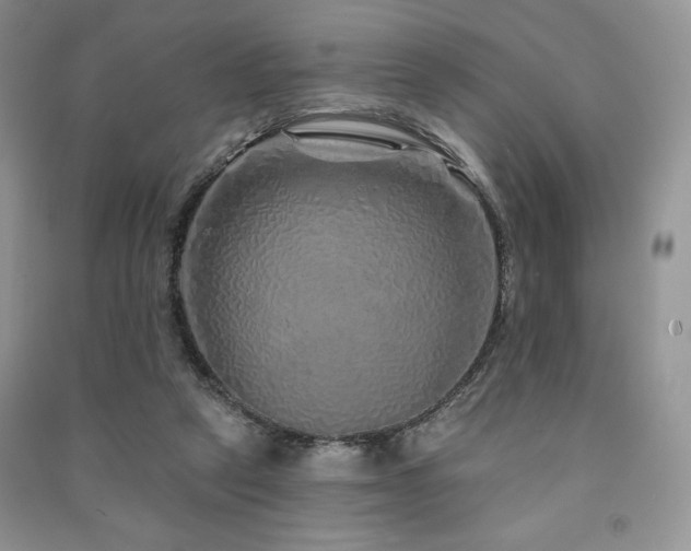 X0000091210257200708091353