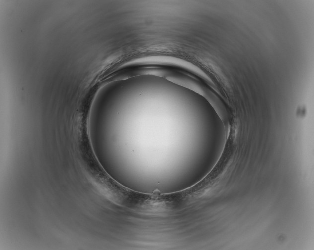 X0000091210260200708091353
