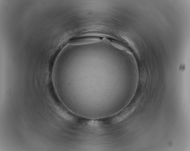 X0000091210261200708091353