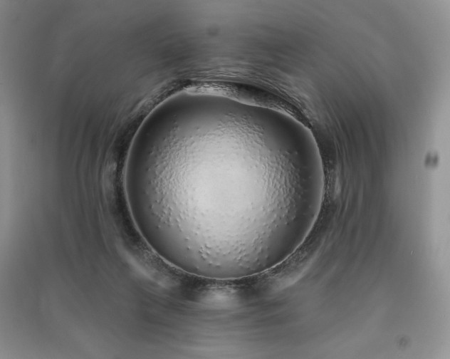 X0000091210263200708091353