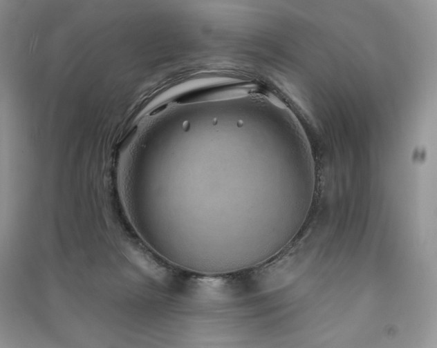 X0000091210265200708091353