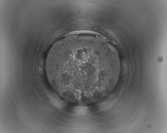 X0000091210266200708091353