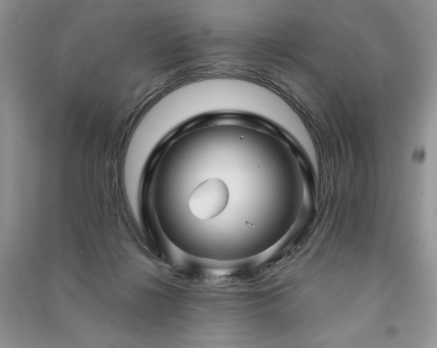 X0000091210268200708091353
