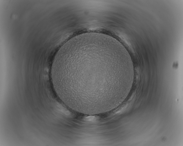 X0000091210269200708091353