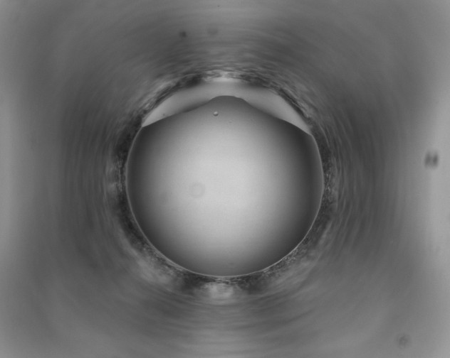 X0000091210272200708091353