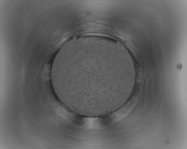 X0000091210273200708091353