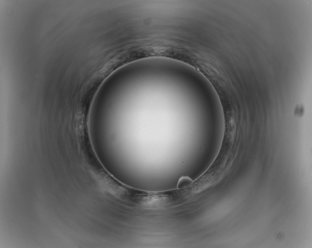 X0000091210274200708091353