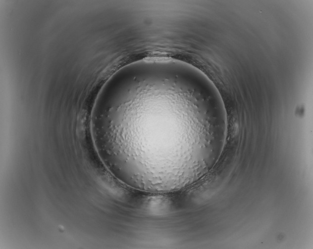X0000091210275200708091353