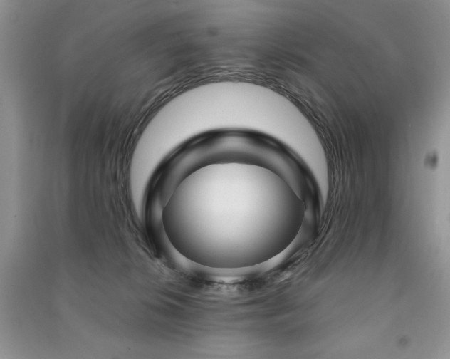 X0000091210276200708091353