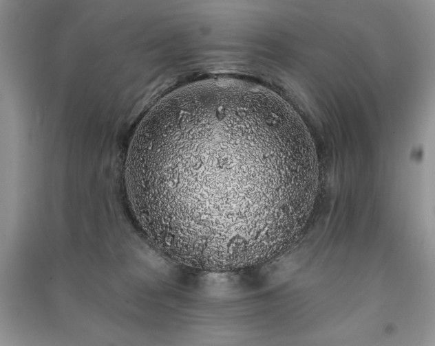 X0000091210277200708091353