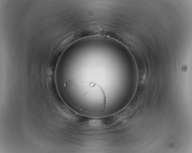 X0000091210279200708091353