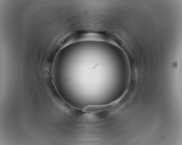 X0000091210280200708091353