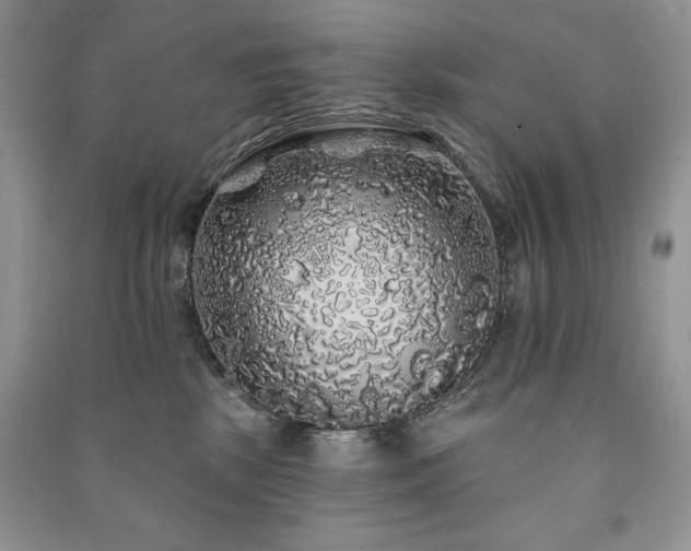 X0000091210281200708091353