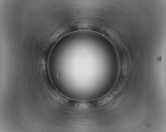 X0000091210282200708091353