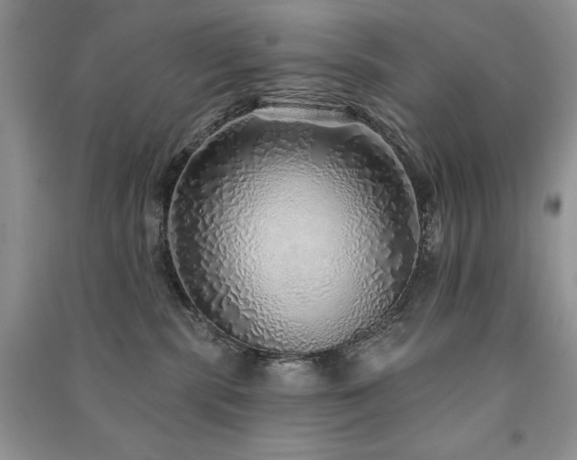 X0000091210283200708091353