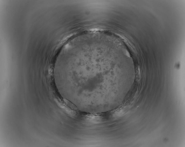 X0000091210284200708091353