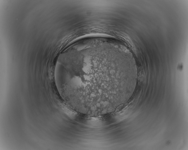 X0000091210285200708091353