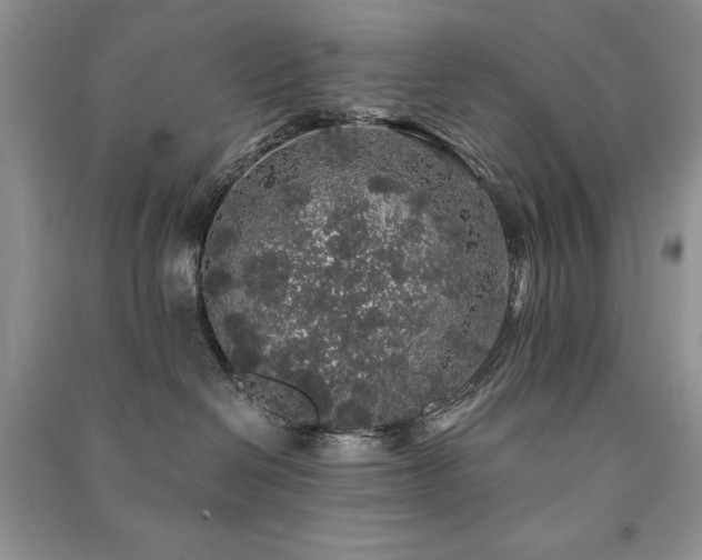 X0000091210286200708091353