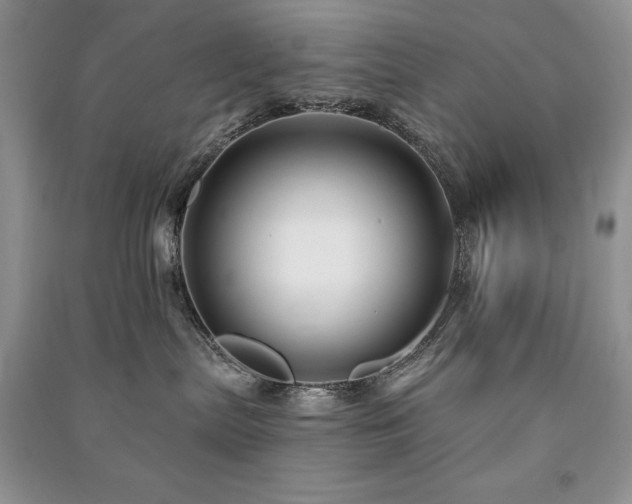 X0000091210287200708091353