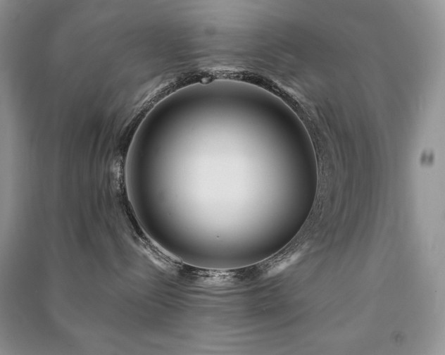 X0000091210288200708091353