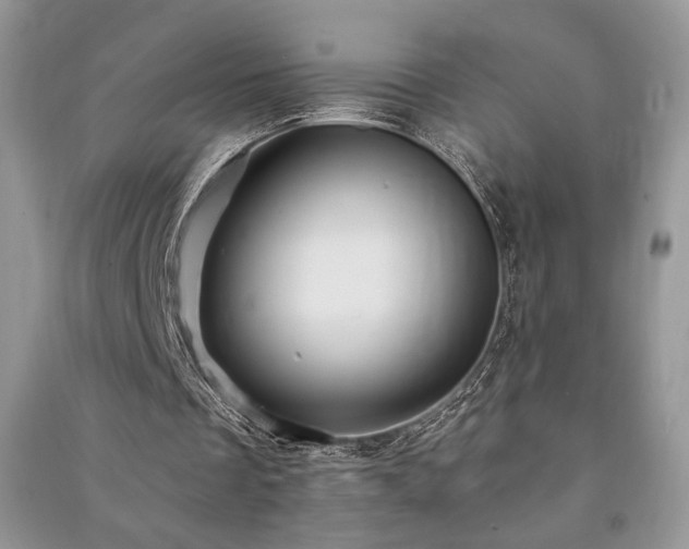 X0000091210289200708091353