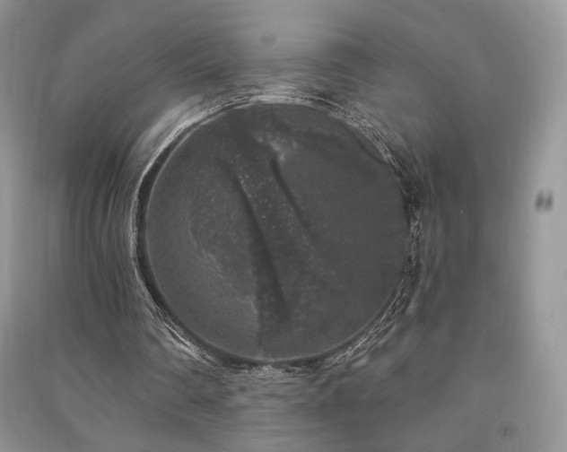 X0000091210290200708091353