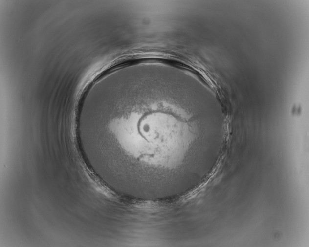 X0000091210293200708091353