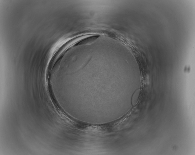 X0000091210294200708091353