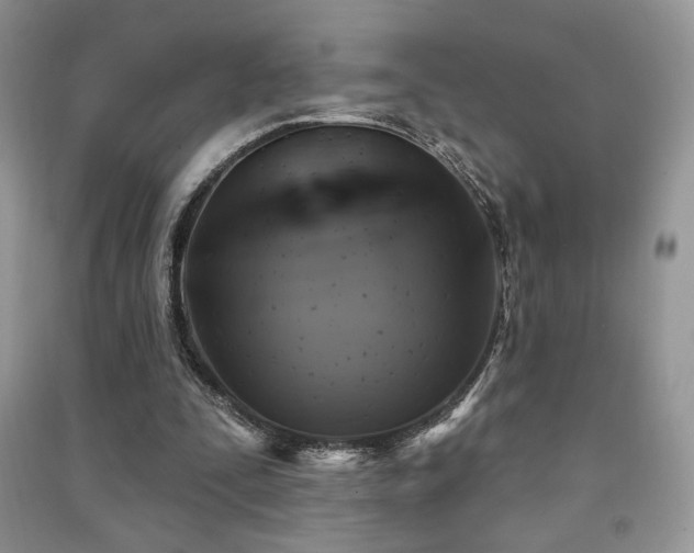 X0000091210295200708091353