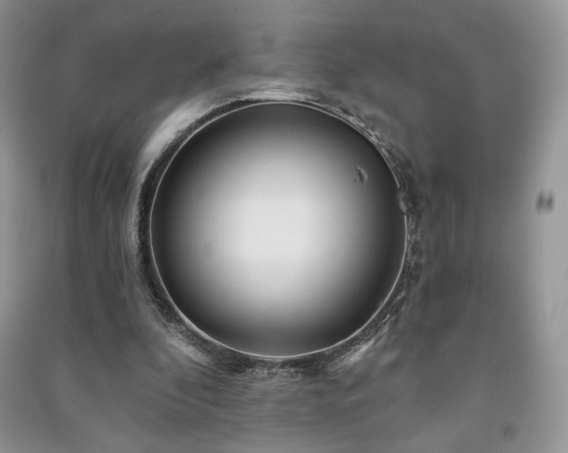 X0000091210296200708091352